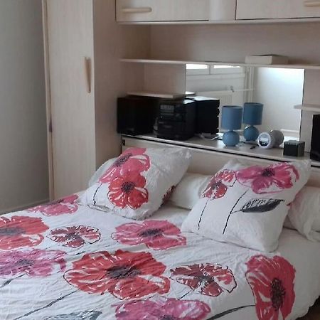 Appartement T4/5 Avec Vue Sur Les Alpes A 5 Minutes De Lyon à La Mulatiere Extérieur photo