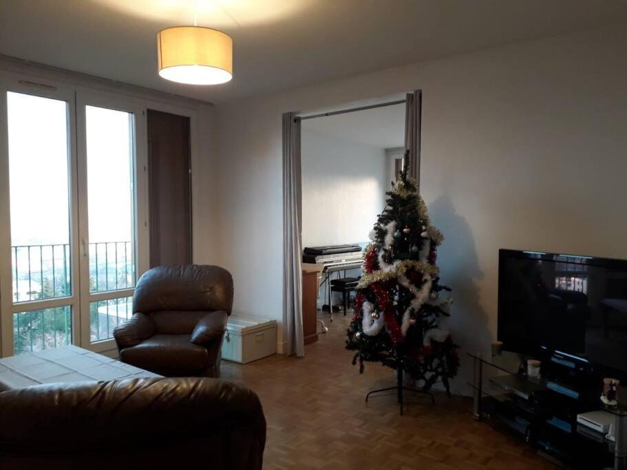 Appartement T4/5 Avec Vue Sur Les Alpes A 5 Minutes De Lyon à La Mulatiere Extérieur photo
